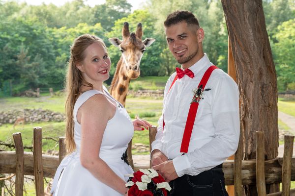 Hochzeit im Zoo Zoom in Gelsenkirchen